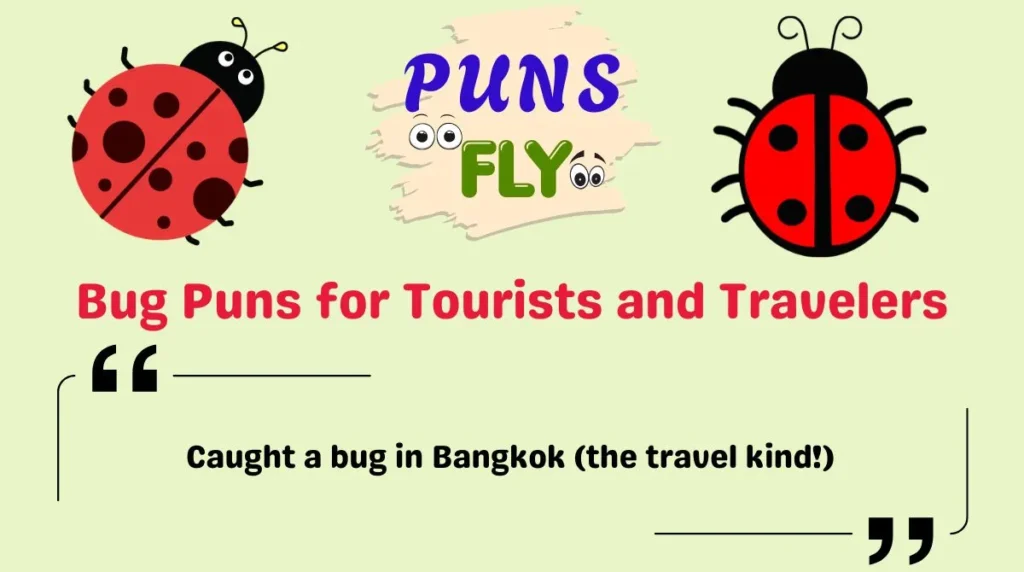 Bug Puns for Tourists and Travelers
