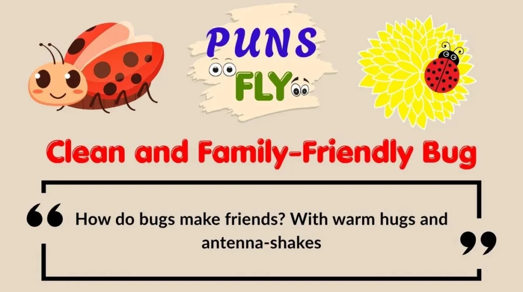 Clean and Family-Friendly Bug