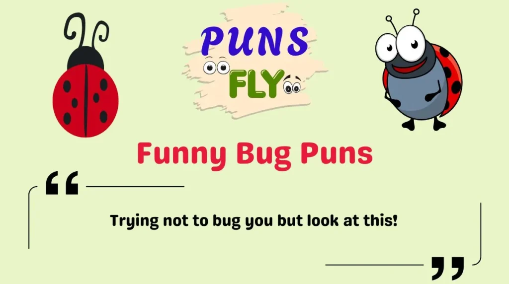 Funny Bug Puns