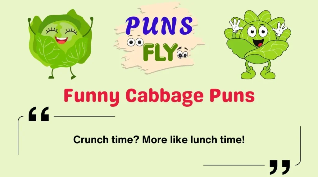 Funny Cabbage Puns
