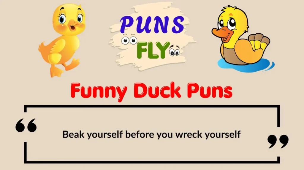 Funny Duck Puns