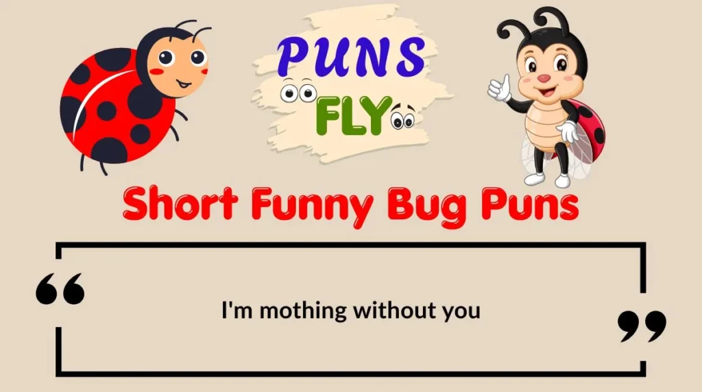 Short Funny Bug Puns
