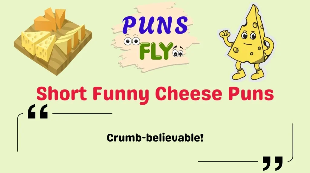 Short Funny Cheese Puns