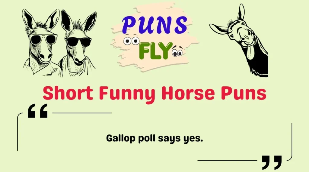 Short Funny Horse Puns