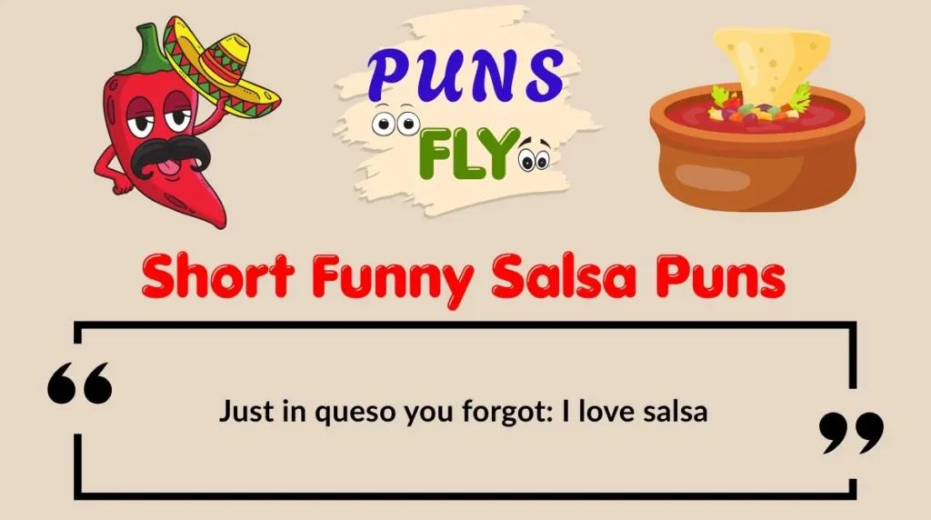 Short Funny Salsa Puns