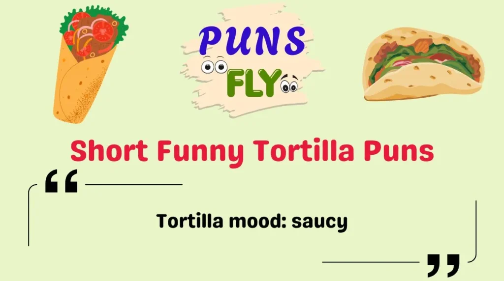 Short Funny Tortilla Puns