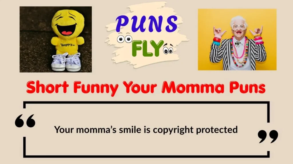 Short Funny Your Momma Puns