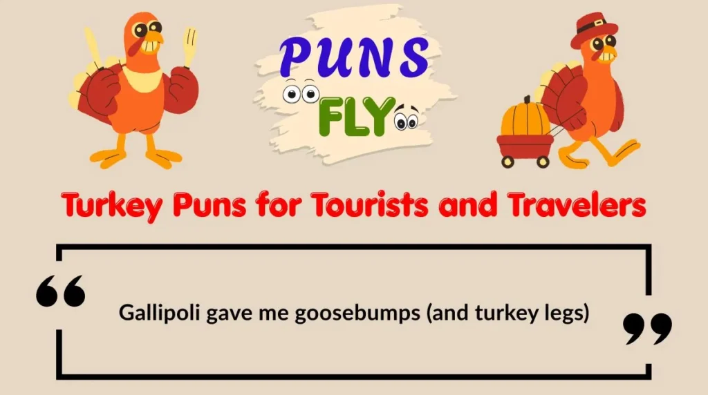 Turkey Puns for Tourists and Travelers