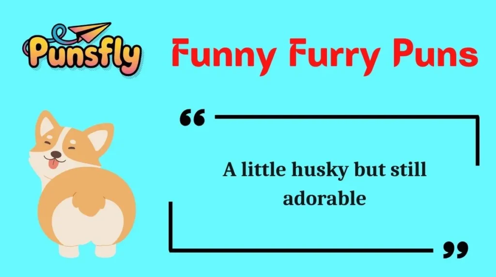 Funny Furry Puns