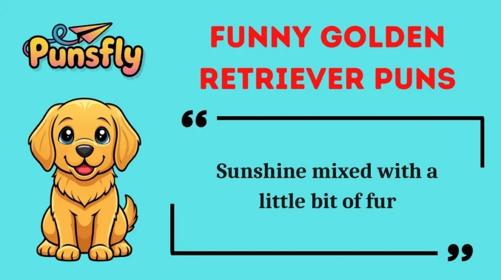 Funny Golden Retriever Puns