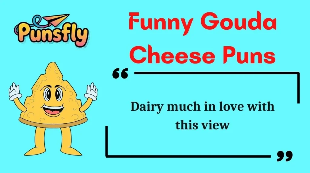 Funny Gouda Cheese Puns