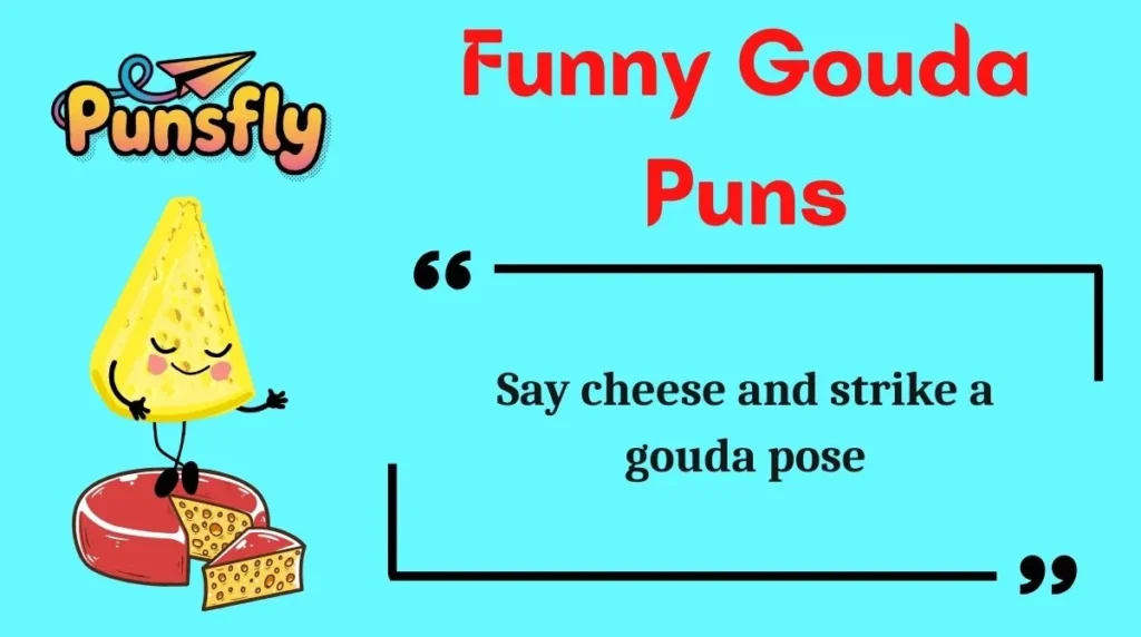 Funny Gouda Puns