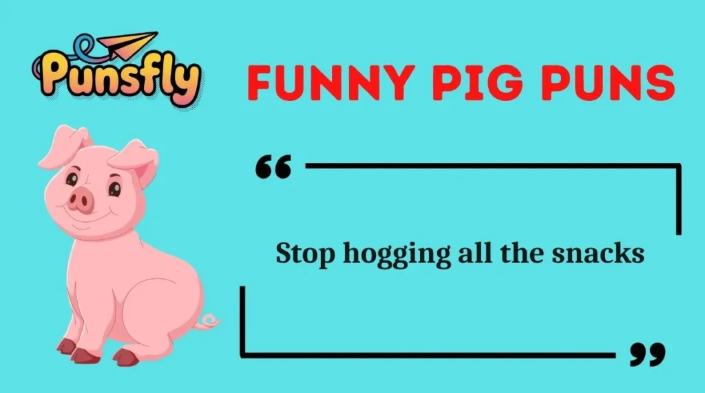 Funny Pig Puns