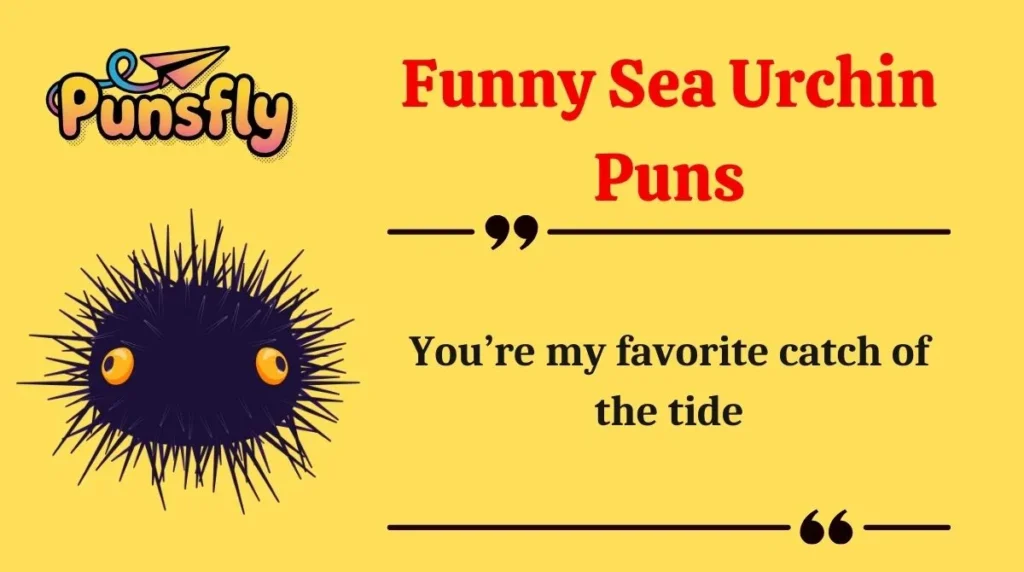 Funny Sea Urchin Puns