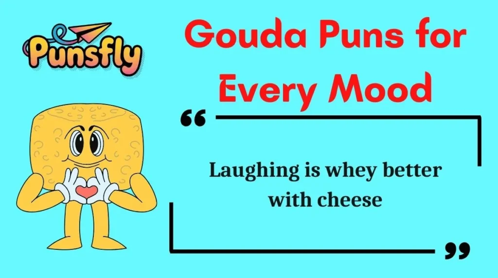Gouda Puns for Every Mood