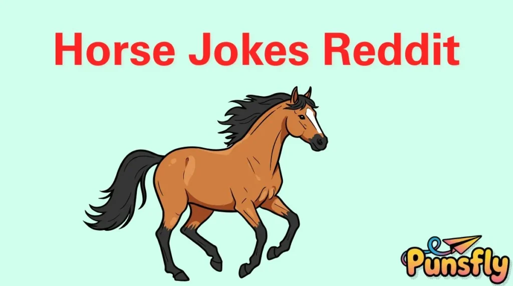 Horse Jokes Reddit