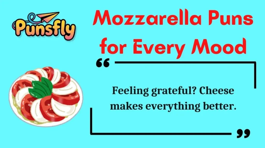Mozzarella Puns for Every Mood