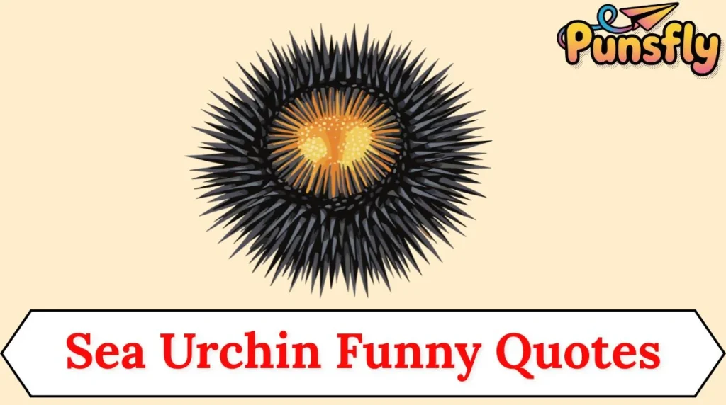 Sea Urchin Funny Quotes