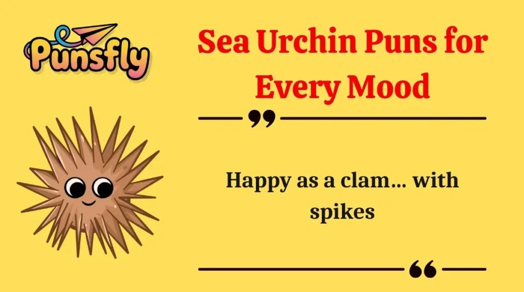 Sea Urchin Puns for Every Mood