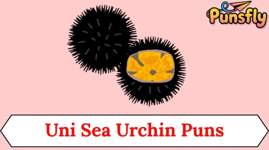 Uni Sea Urchin Puns