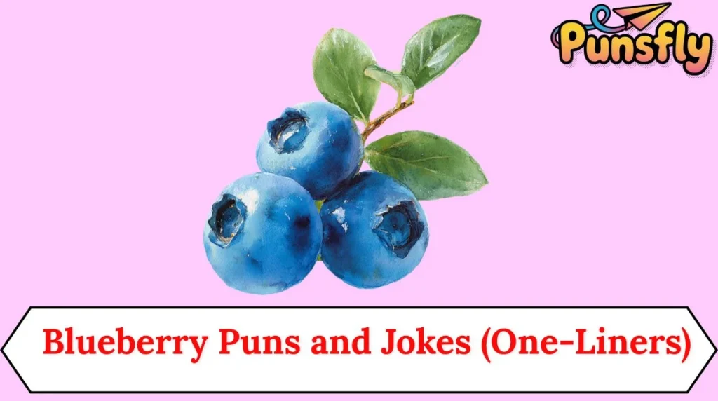 Blueberry Puns and Jokes (One-Liners)