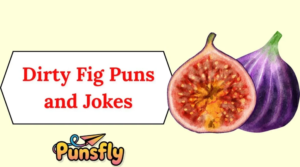 Dirty Fig Puns and Jokes
