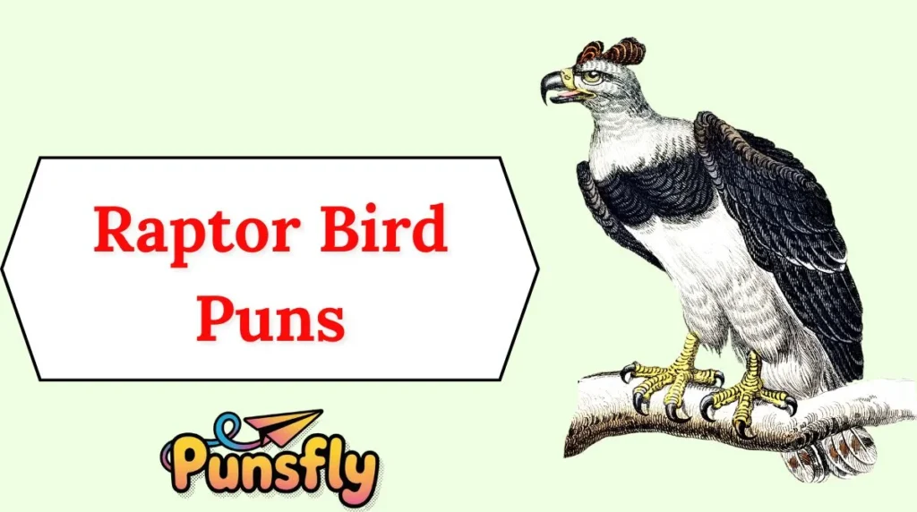 Raptor Bird Puns