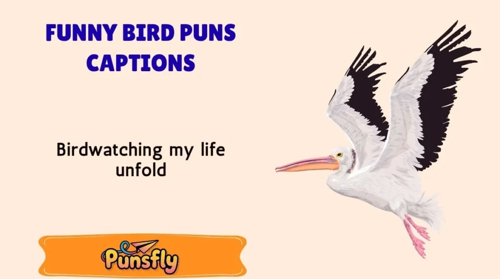 Funny Bird Puns Captions
