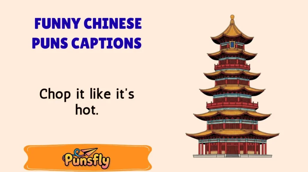 Funny Chinese Puns Captions