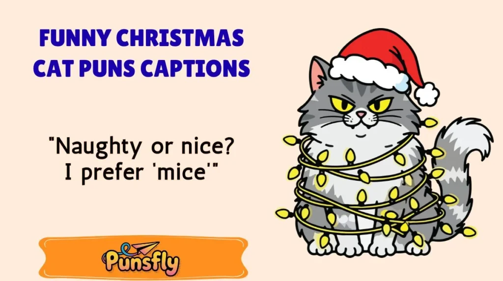 Funny Christmas Cat Puns Captions