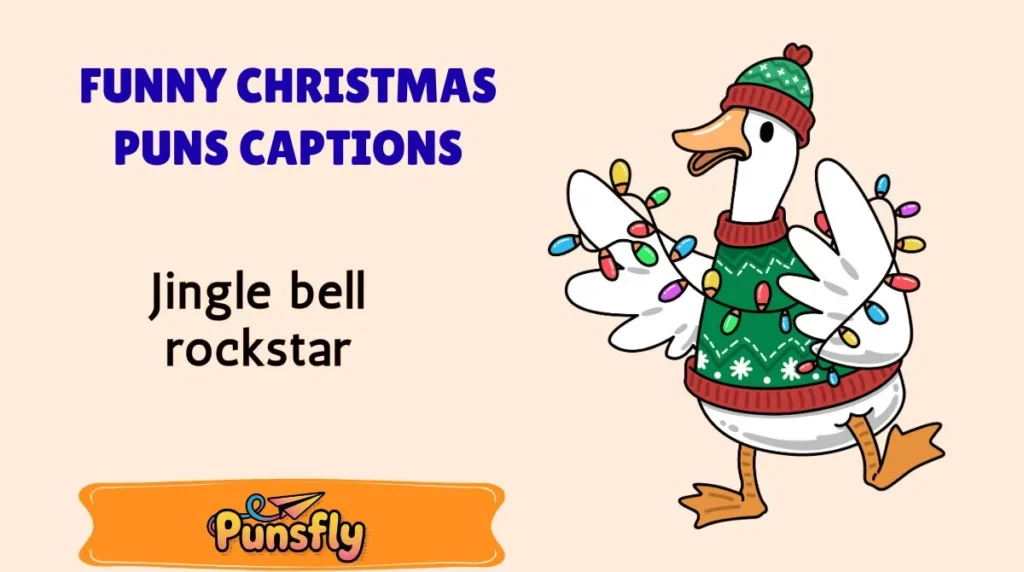 Funny Christmas Puns Captions