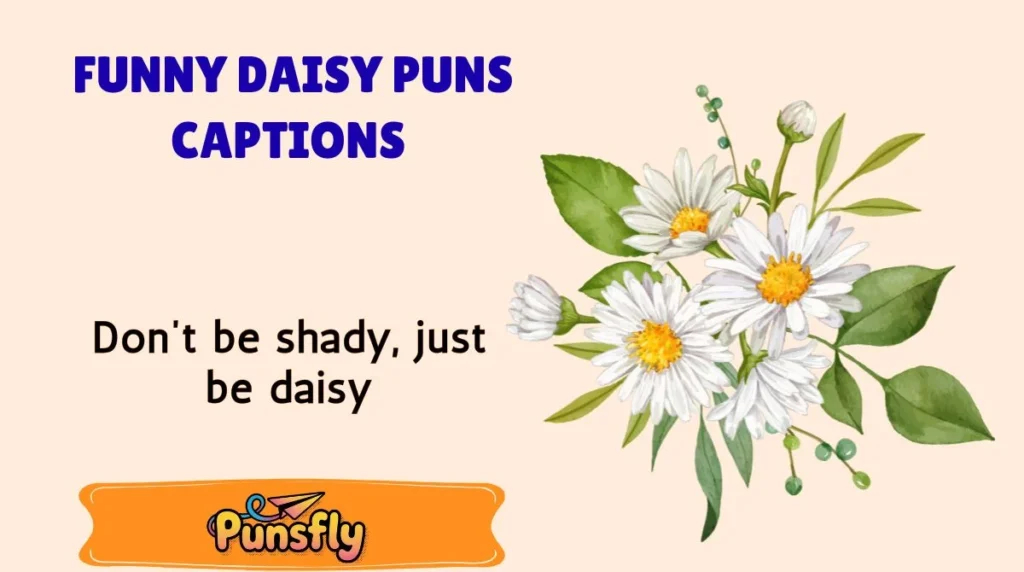 Funny Daisy Puns Captions