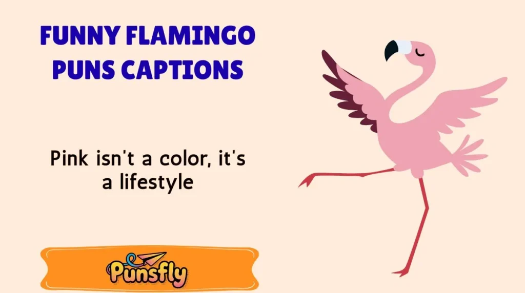 Funny Flamingo Puns Captions
