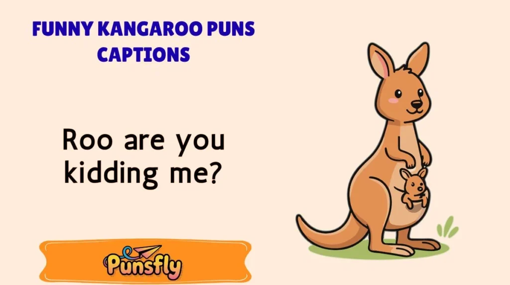 Funny Kangaroo Puns Captions