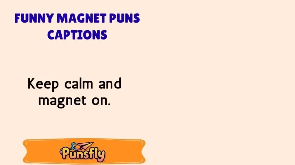 Funny Magnet Puns Captions