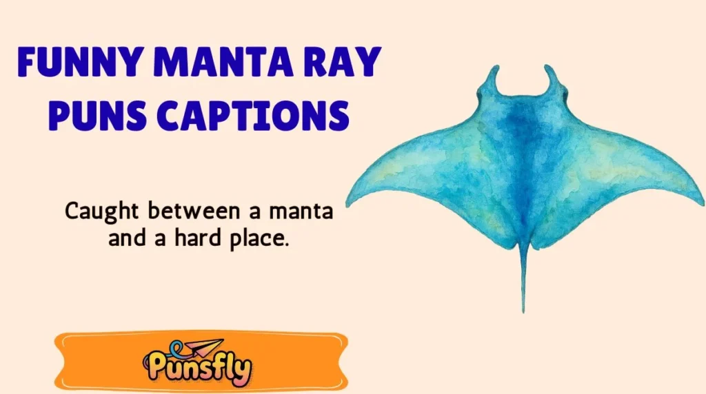 Funny Manta Ray Puns Captions