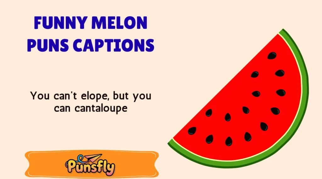 Funny Melon Puns Captions