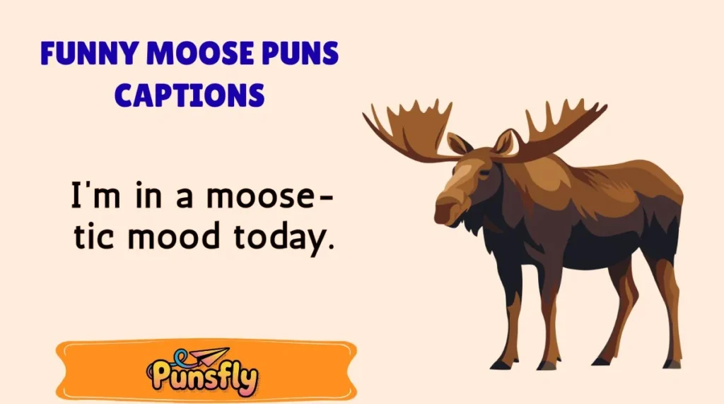 Funny Moose Puns Captions