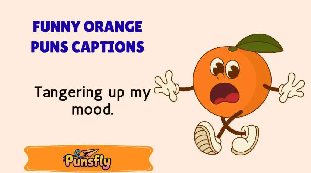 Funny Orange Puns Captions