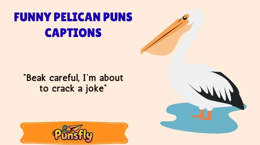Funny Pelican Puns Captions