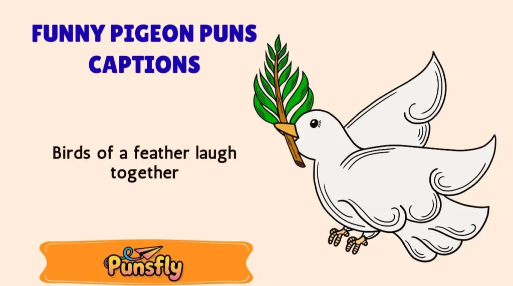 Funny Pigeon Puns Captions