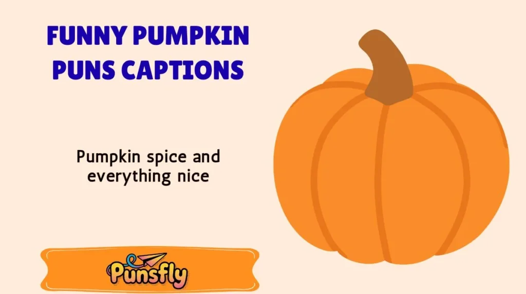 Funny Pumpkin Puns Captions