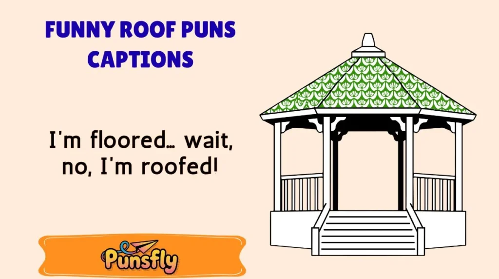 Funny Roof Puns Captions