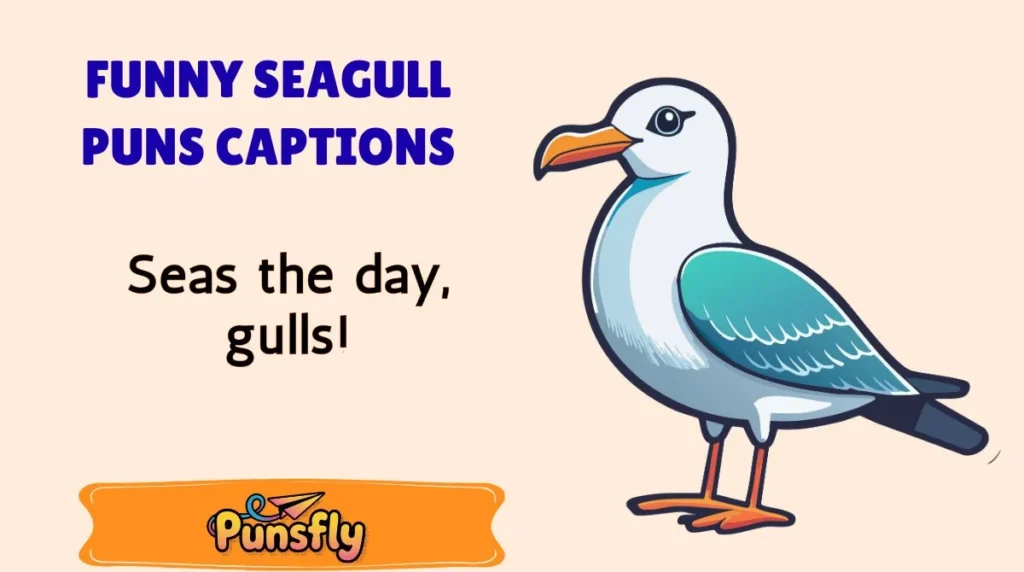 Funny Seagull Puns Captions