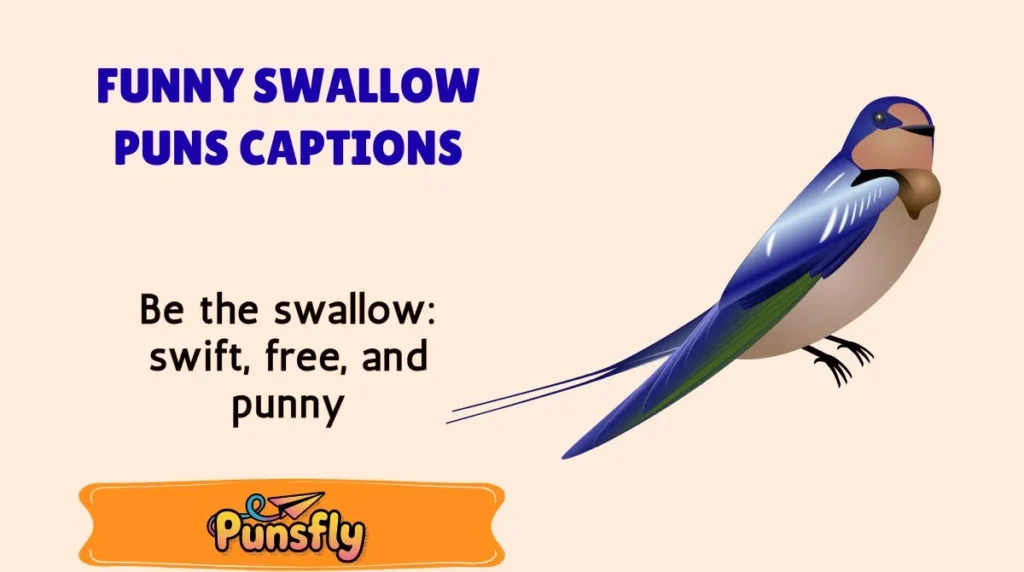 Funny Swallow Puns Captions