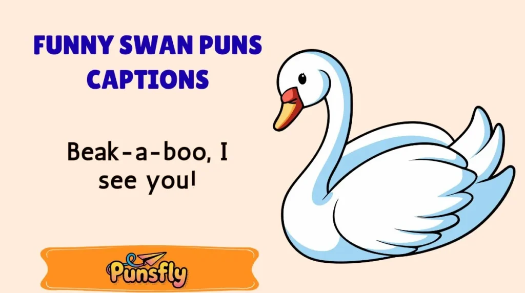Funny Swan Puns Captions