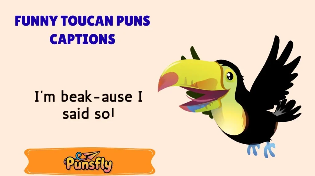 Funny Toucan Puns Captions