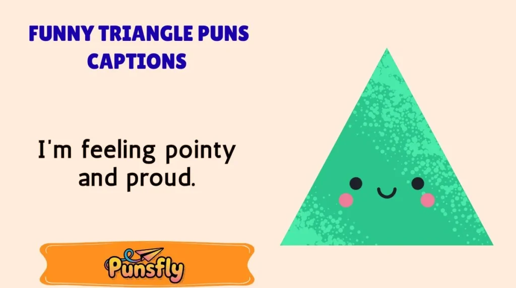 Funny Triangle Puns Captions