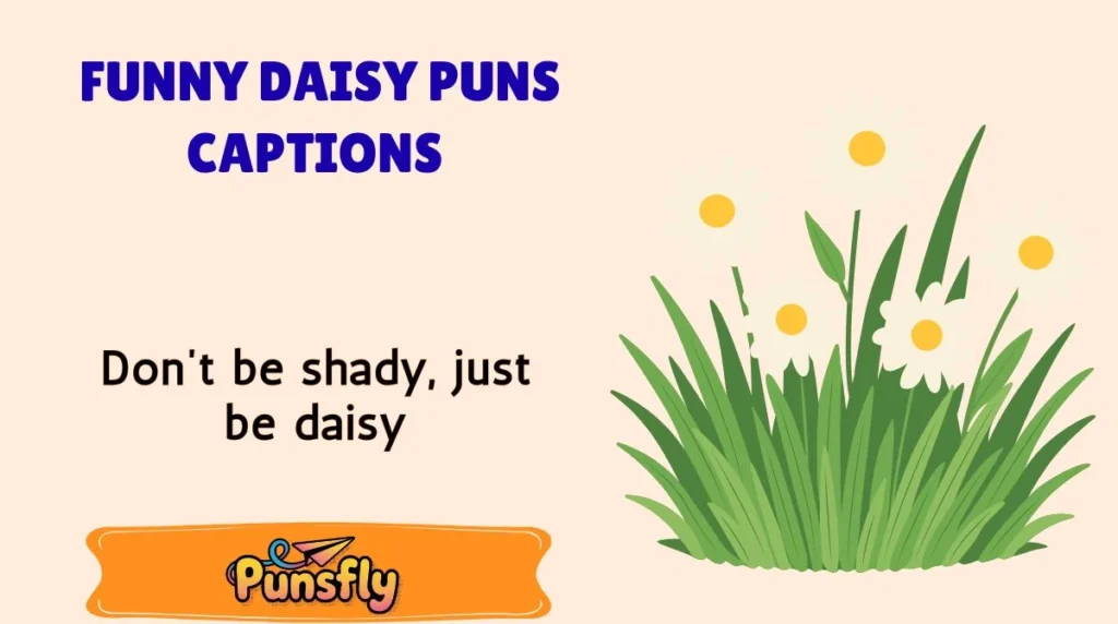 Share-Worthy Daisy Puns for Every Mood