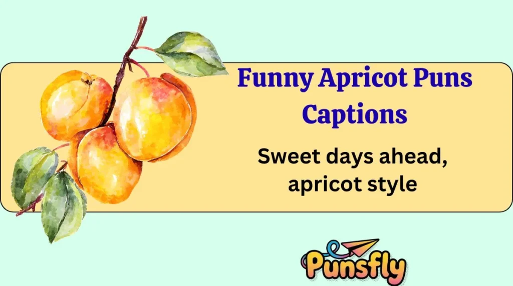 Funny Apricot Puns Captions
